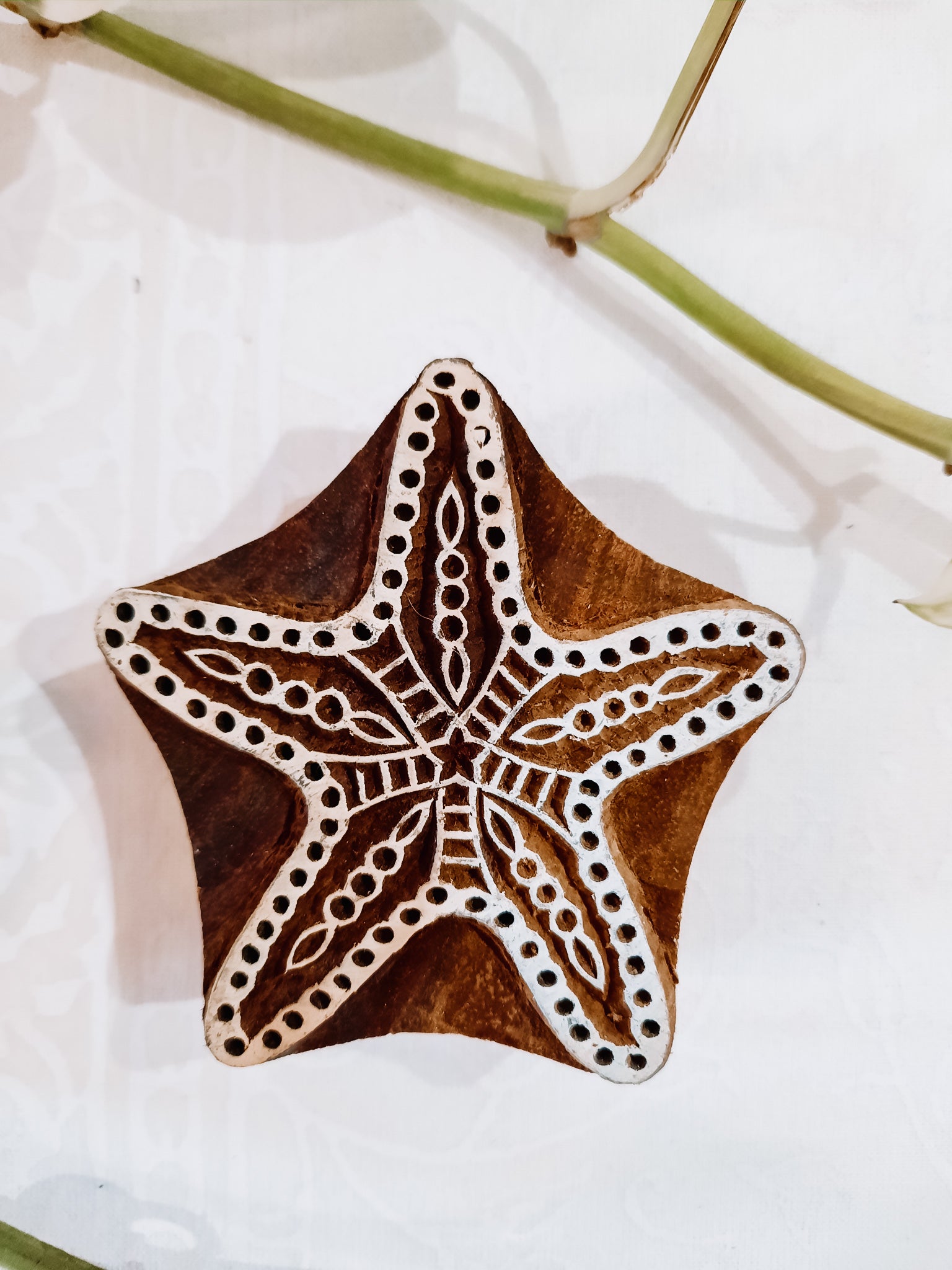 Sello Estrella de mar