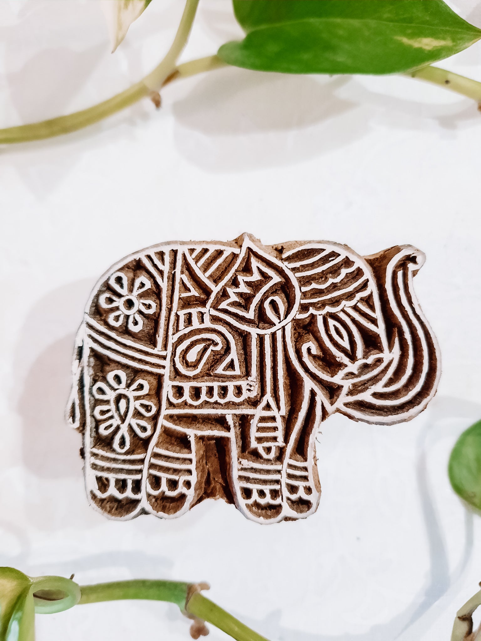 Sello Elefante mediano